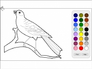 Bird coloring. Print Help help.html...
