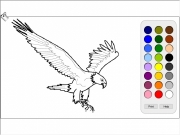 Eagle coloring. Print Help help.html...
