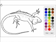 Lizard coloring. Print Help help.html...
