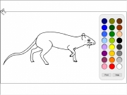 Rat coloring. Print Help help.html...
