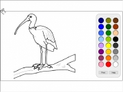 Bird coloring. Print Help help.html...
