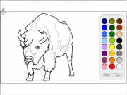 Bison coloring. Print Help help.html...
