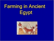 Farm egypt. 1. Farming in Ancient Egypt 2. What crops did the Egyp... Egyptian Farmers grow? 3. else they 4. Where farmers g... grow their crops? 5. How many seasons wer... were there Egypt? 6. Akhet The Flooding Season. 7. Peret growing season 8. Shemu Harvesting Season 9. was corn harve... harvested? 10. happens next? Slide 11 11. Egyptians grew such as wheat, barley, vegetables, figs, melons, pomegranates...
