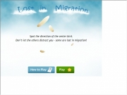 Game Lost in migration