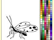 Bug coloring. Paint Insekt online for kids www.Fun4Child.com Kids paint games Print Reset...
